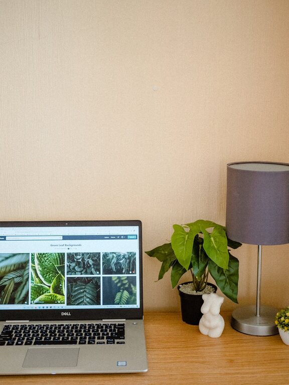 Tips for Creating a Cozy and Functional Home Office Space